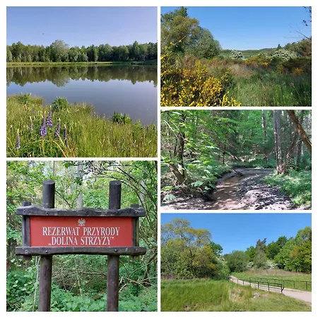 Live Like A Local 5th Floor *