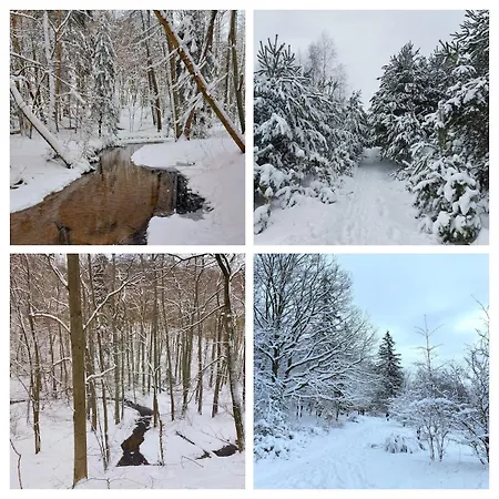 Live Like A Local 5th Floor * Danzig