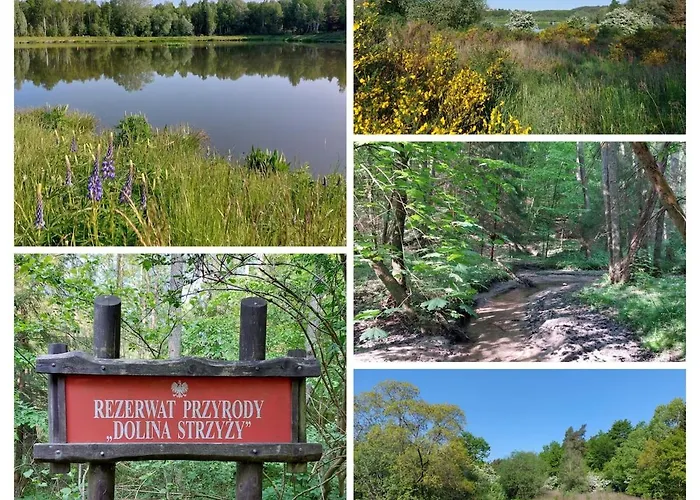 Live Like A Local 5th Floor *