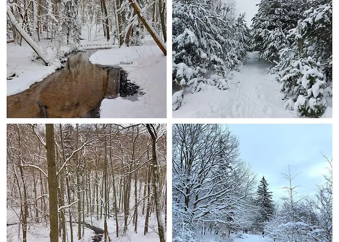 Live Like A Local 5th Floor * غدانسك